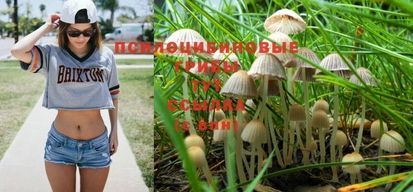 МДПВ Алексин