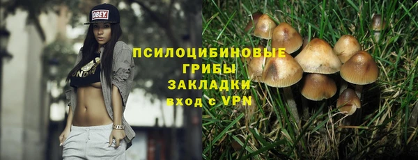 МДПВ Алексин