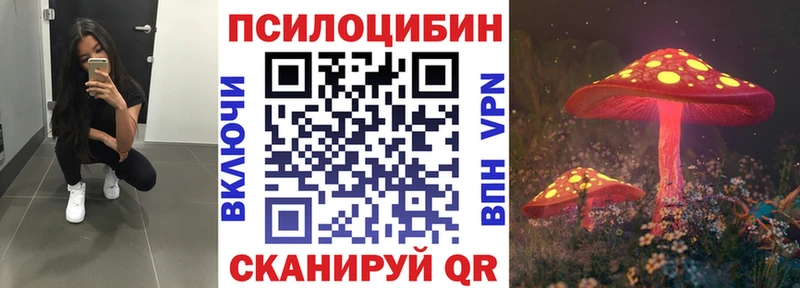 mega tor  Кохма  Галлюциногенные грибы MAGIC MUSHROOMS 